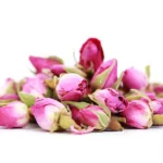 pink rose buds