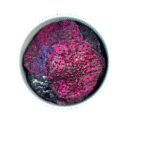 dried dragon fruit