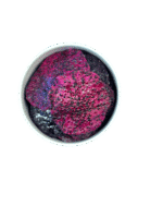 dried dragon fruit